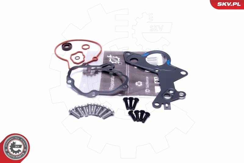 Repair Set, vacuum pump (braking system)